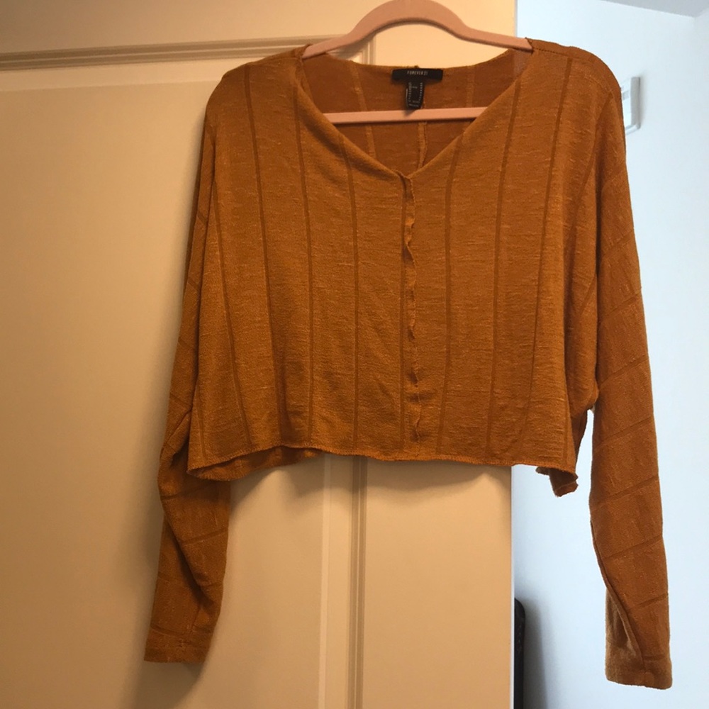 Forever 21 long sleeved crop too